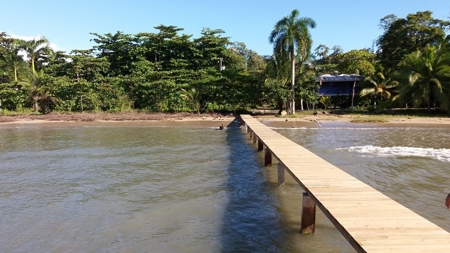 Titled Bocas del Toro Bed & Breakfast or  Luxury Compound - image 2