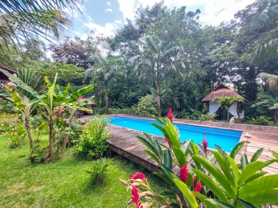 Titled Bocas del Toro Bed & Breakfast or  Luxury Compound - image 26