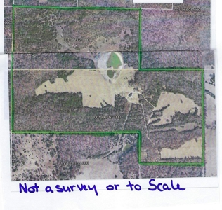 Arkansas  Secluded  220 Acres With Lake For Sale - image 3