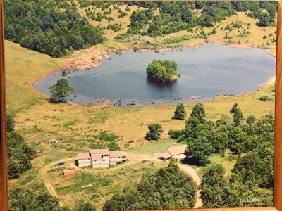 Arkansas  Secluded  220 Acres With Lake For Sale - image 31