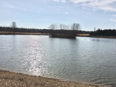 Arkansas  Secluded  220 Acres With Lake For Sale - image 5