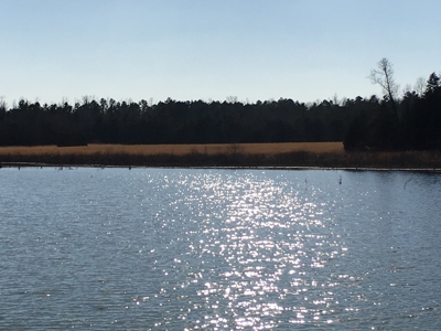 Arkansas  Secluded  220 Acres With Lake For Sale - image 6