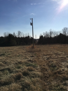 Arkansas  Secluded  220 Acres With Lake For Sale - image 11