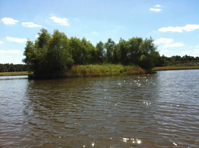 Arkansas  Secluded  220 Acres With Lake For Sale - image 34