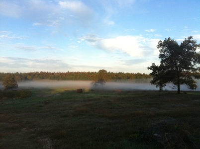 Arkansas  Secluded  220 Acres With Lake For Sale - image 33