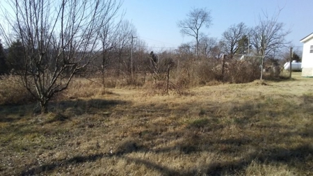 Country Home For Sale In Ravenden Springs, Arkansas - image 25