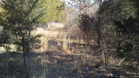 Country Home For Sale In Ravenden Springs, Arkansas - image 11