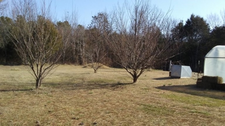 Country Home For Sale In Ravenden Springs, Arkansas - image 10