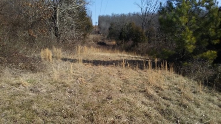 Country Home For Sale In Ravenden Springs, Arkansas - image 27
