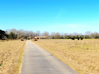 Poultry Farm with Land and Home Wayne County Ms - image 5
