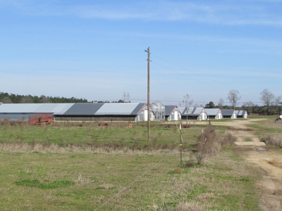 Poultry Farm with Land and Home Wayne County Ms - image 7