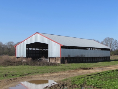 Poultry Farm with Land and Home Wayne County Ms - image 8