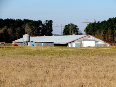 Poultry Farm with Land and Home Wayne County Ms - image 3