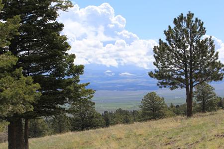 Colorado Mountain Log cabin - image 17