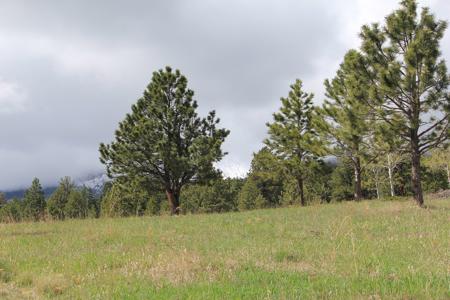 Colorado Mountain Log cabin - image 18