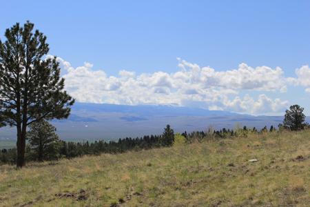 Colorado Mountain Log cabin - image 4