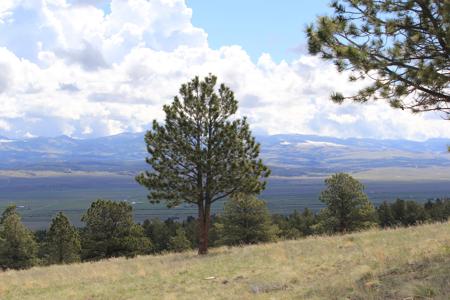 Colorado Mountain Log cabin - image 19