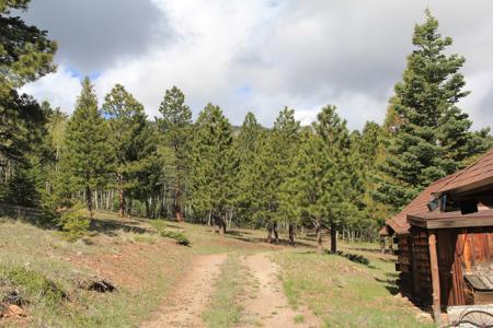 Colorado Mountain Log cabin - image 15