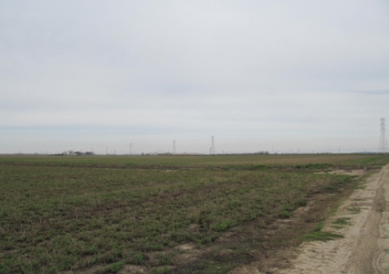 Yolo County Farm Land For Sale - Currently In Alfalfa - image 13