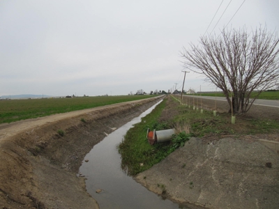 Yolo County Farm Land For Sale - Currently In Alfalfa - image 3