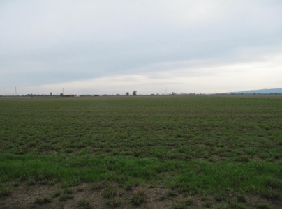 Yolo County Farm Land For Sale - Currently In Alfalfa - image 10