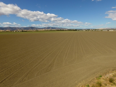 Yolo County Farm Land For Sale - Currently In Alfalfa - image 15