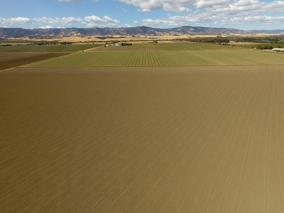 Yolo County Farm Land For Sale - Currently In Alfalfa - image 16