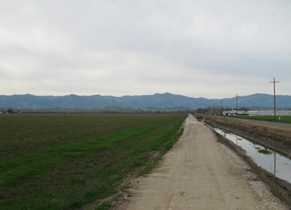 Yolo County Farm Land For Sale - Currently In Alfalfa - image 6