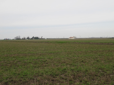 Yolo County Farm Land For Sale - Currently In Alfalfa - image 14