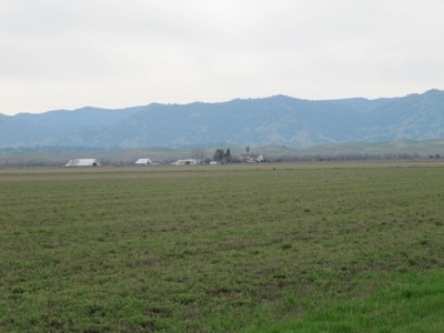 Yolo County Farm Land For Sale - Currently In Alfalfa - image 7