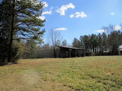 Auction 146Ac Farm Pine Plantation / Cropland /Kerr Lake - image 8