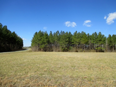 Auction 146Ac Farm Pine Plantation / Cropland /Kerr Lake - image 5