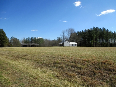 Auction 146Ac Farm Pine Plantation / Cropland /Kerr Lake - image 2