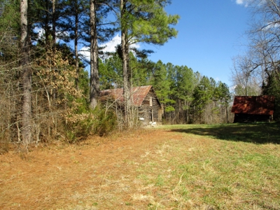 Auction 146Ac Farm Pine Plantation / Cropland /Kerr Lake - image 9