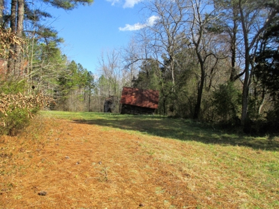 Auction 146Ac Farm Pine Plantation / Cropland /Kerr Lake - image 10
