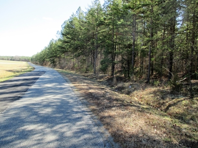 Auction 146Ac Farm Pine Plantation / Cropland /Kerr Lake - image 11