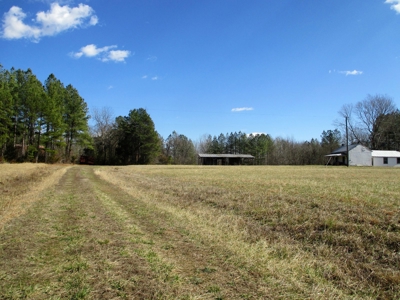 Auction 146Ac Farm Pine Plantation / Cropland /Kerr Lake - image 3