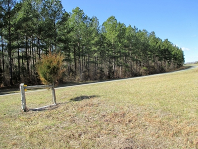Auction 146Ac Farm Pine Plantation / Cropland /Kerr Lake - image 6