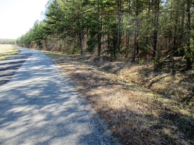Auction 146Ac Farm Pine Plantation / Cropland /Kerr Lake - image 12