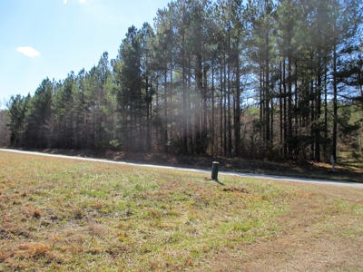 Auction 146Ac Farm Pine Plantation / Cropland /Kerr Lake - image 7