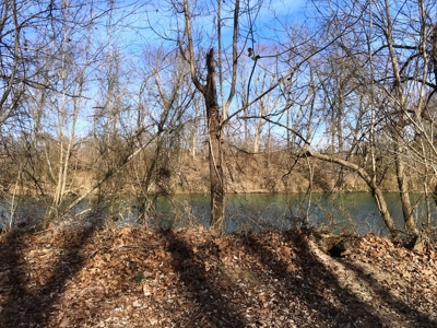 South Fork River Lot For Sale In Arkansas - image 7