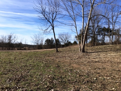 South Fork River Lot For Sale In Arkansas - image 13