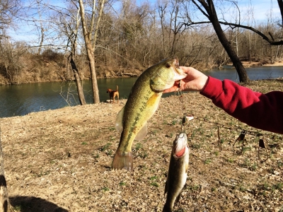 South Fork River Lot For Sale In Arkansas - image 11