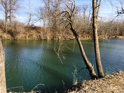 South Fork River Lot For Sale In Arkansas - image 1
