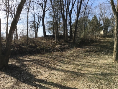 South Fork River Lot For Sale In Arkansas - image 3