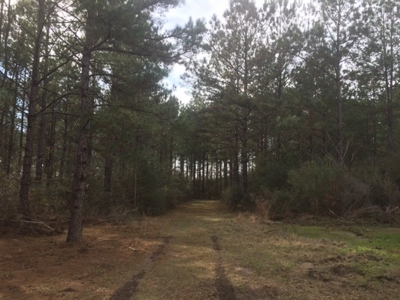 Hunting Camp with Land Tylertown Ms Walthall County - image 15