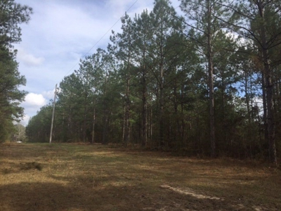 Hunting Camp with Land Tylertown Ms Walthall County - image 19