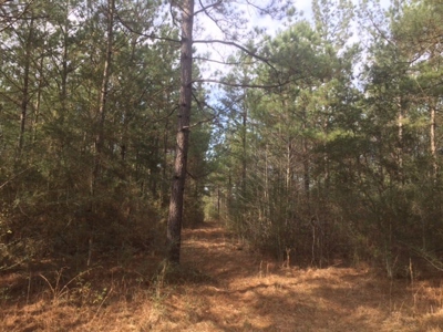 Hunting Camp with Land Tylertown Ms Walthall County - image 13