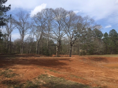 Hunting Camp with Land Tylertown Ms Walthall County - image 20