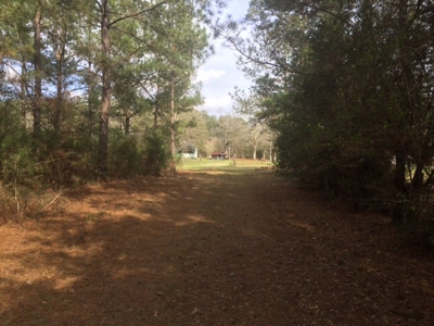 Hunting Camp with Land Tylertown Ms Walthall County - image 11